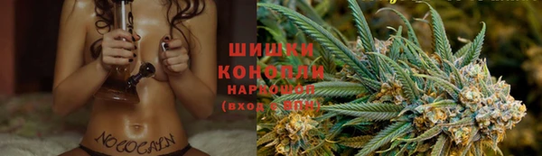 бошки Аркадак