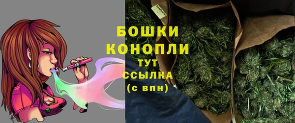 бошки Аркадак
