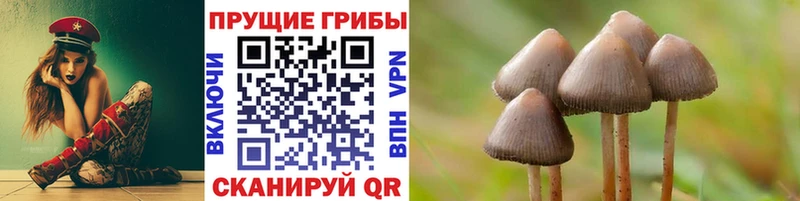 дарк нет наркотические препараты  Голицыно  Галлюциногенные грибы мицелий  blacksprut ссылки 